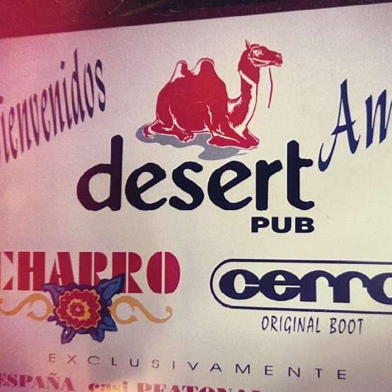 Desert Web [Recuperado]-10